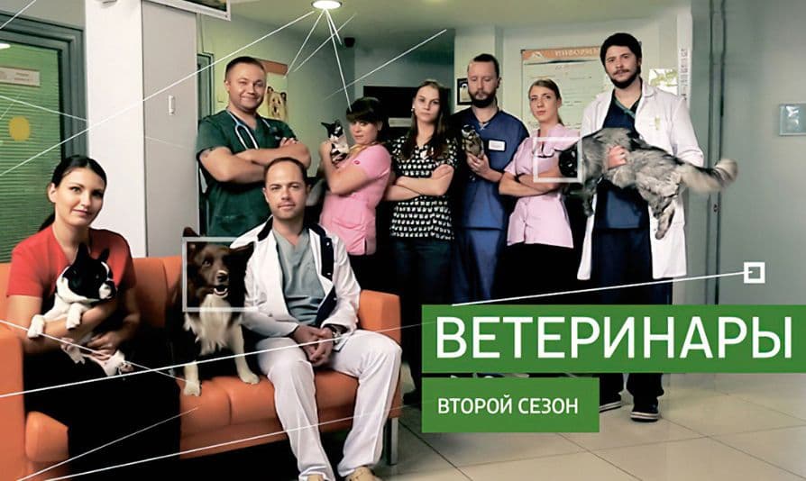 Ветеринары