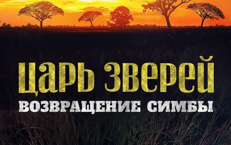 Возвращение Симбы