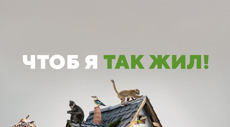 Чтоб я так жил