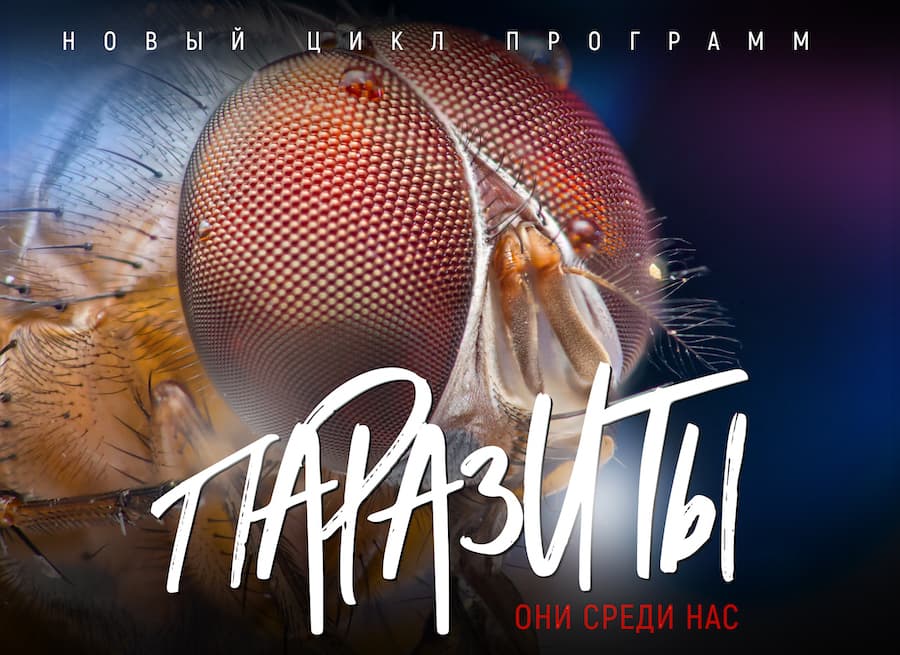 Паразиты 