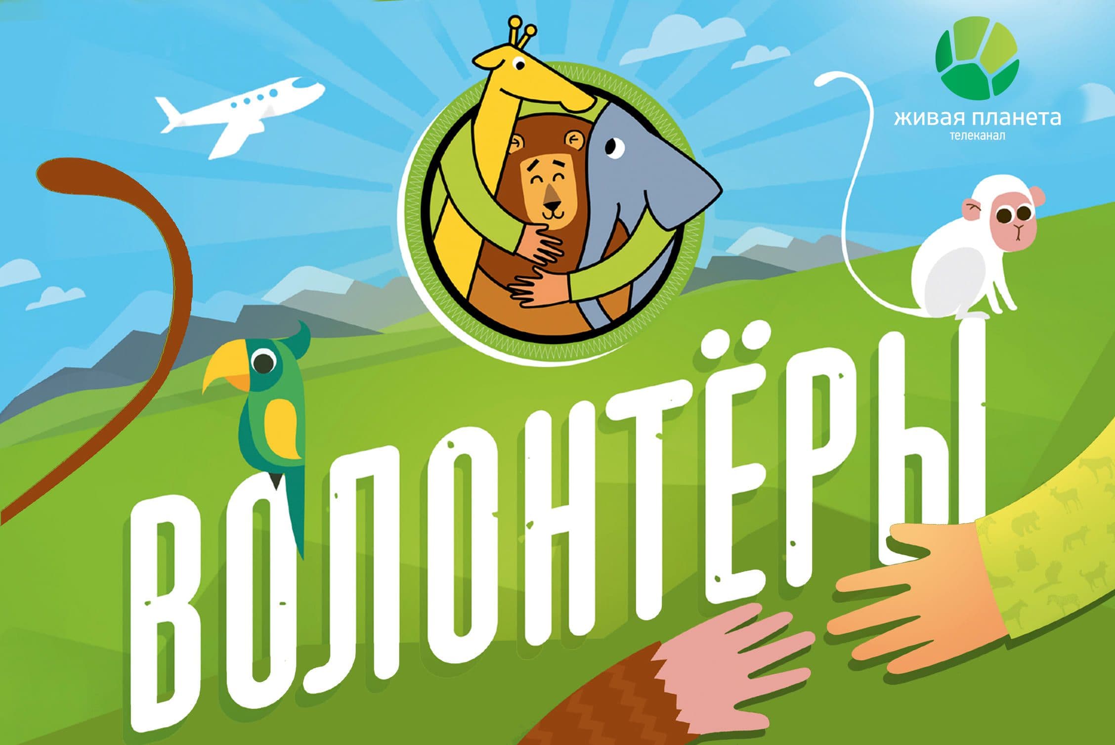Фонд «Линия жизни» наградил «Волонтёров»